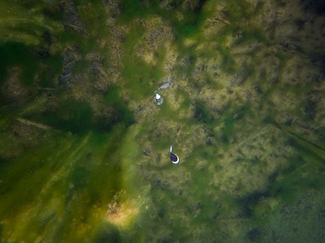 Fox Edges Zig Float Kit - dé KarperCentrale Fox Edges Zig Float Kit - dé KarperCentrale