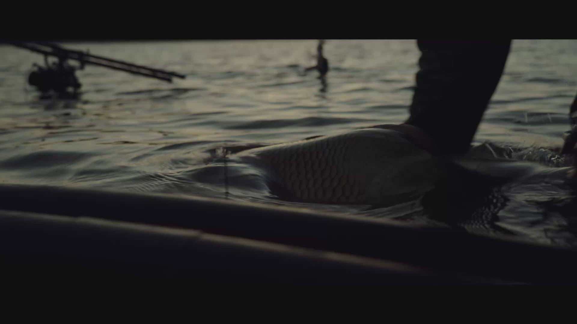 Essentials - jehla s očkem a hrotem